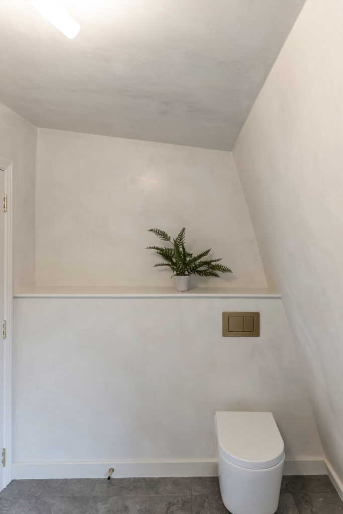 Finsbury Park – Ground-Floor Extensions, House & Garden Renovation — project view 35